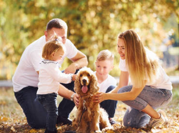 Teaching Child and Dog Safety